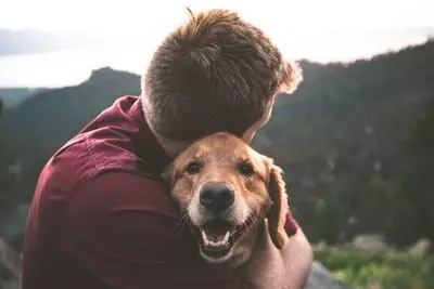 Smiling dog photo by Eric Ward on Unsplash