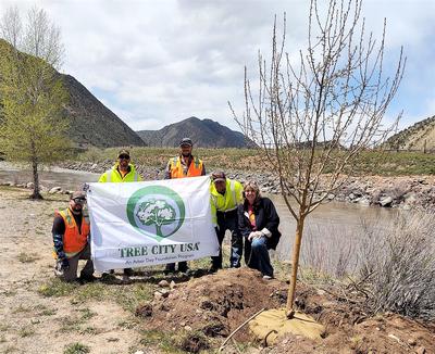 Arbor Day 2022