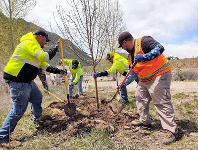 Arbor Day 2022