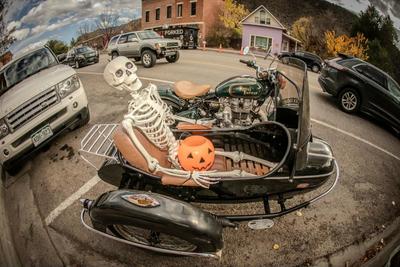 Halloween Skeleton in a sidecar